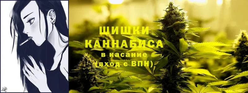 Шишки марихуана White Widow  купить наркоту  Карасук 